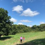 This two mile walk across fields included a few small slopes.